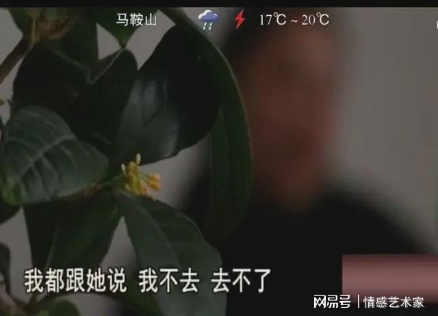 姆巴佩失点又伤退,法国2